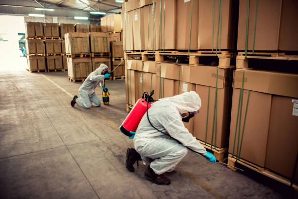 Best Termite Control Services  in Girard, KS