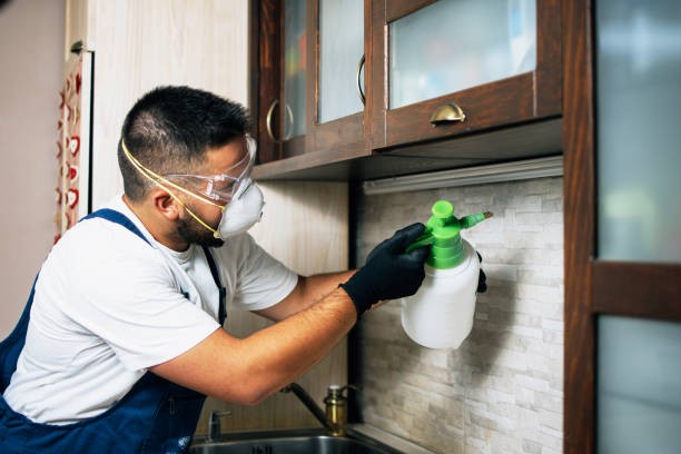 Best Pest Control Treatment  in Girard, KS