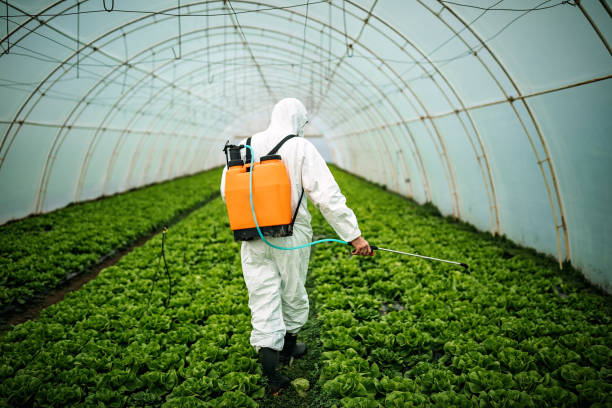 Best Pest Inspection Near Me  in Girard, KS