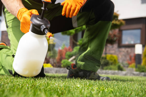 Flea Control Services in Girard, KS