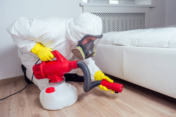 Best Flea Control Services  in Girard, KS