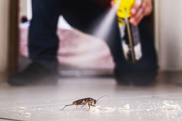 Best Flea Control Services  in Girard, KS