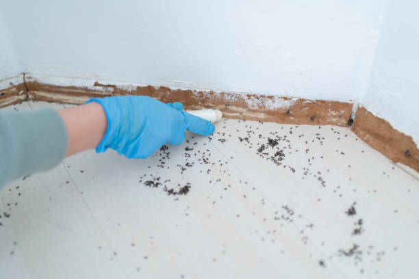 Best Best Pest Control Companies  in Girard, KS