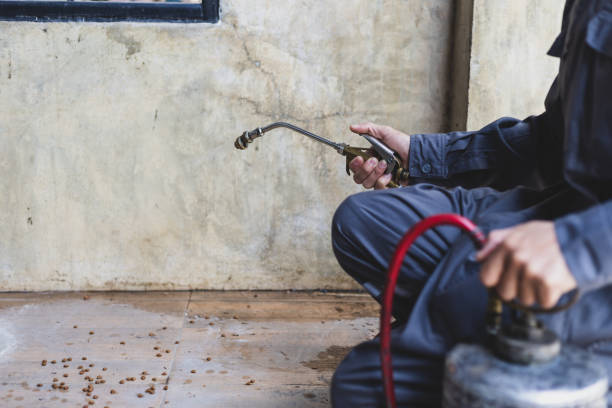 Best Pest Prevention Services  in Girard, KS